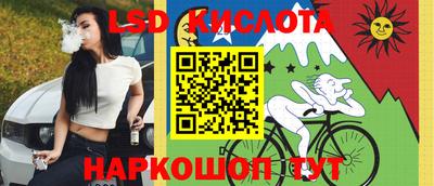 крисы Нальчик