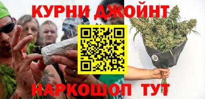крисы Нальчик