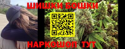 крисы Нальчик