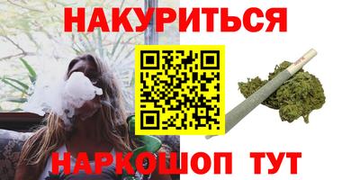 крисы Нальчик
