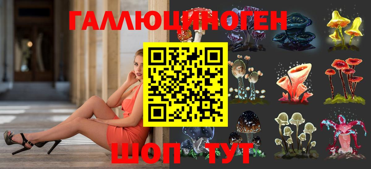 Ульяновск  Псилоцибиновые грибы Psilocybine cubensis  цена   Вход с VPN  Галлюциногенные грибы MAGIC MUSHROOMS 
